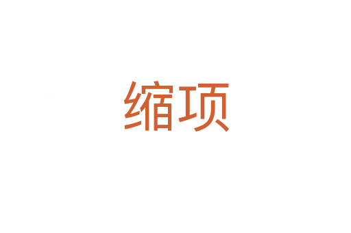 縮項(xiàng)