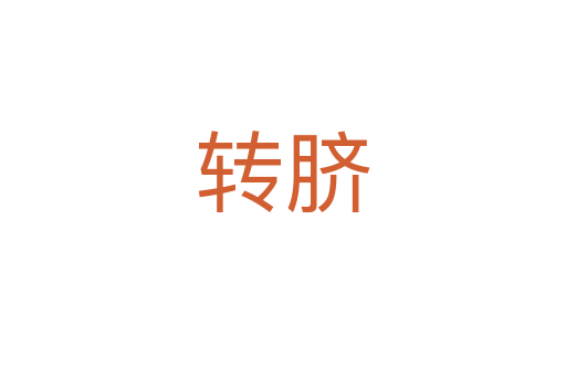 轉(zhuǎn)臍