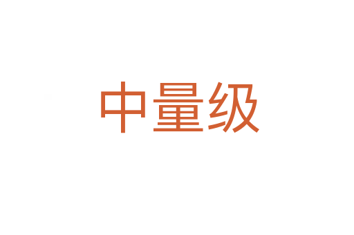 中量級