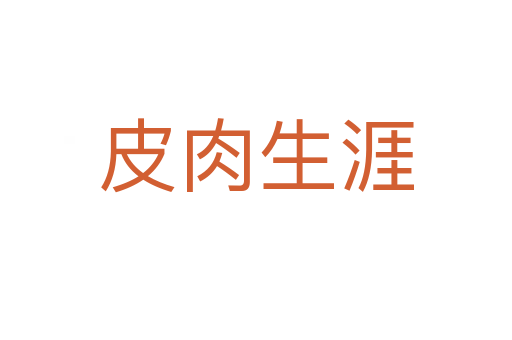 皮肉生涯
