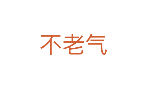 不老氣