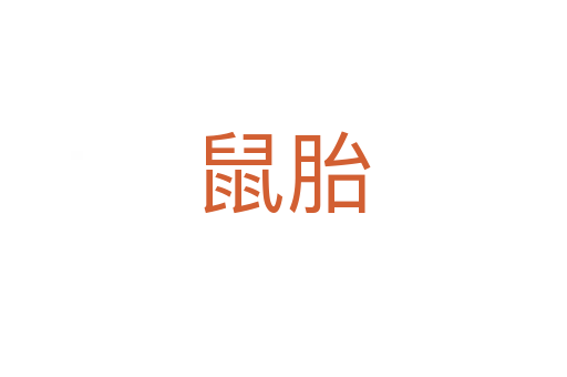 鼠胎