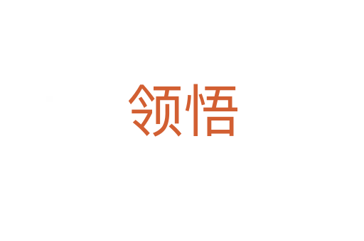 領(lǐng)悟