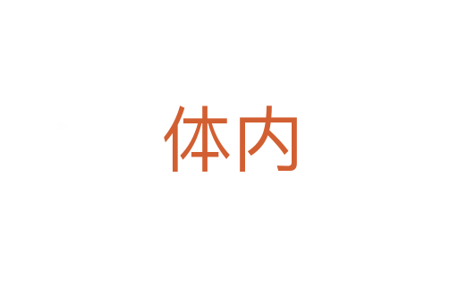 體內(nèi)