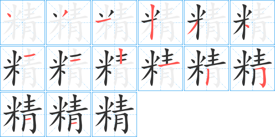 精的筆順分步演示