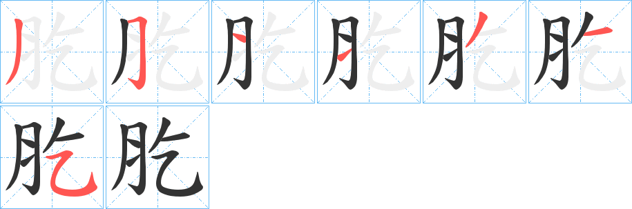 肐的筆順分步演示