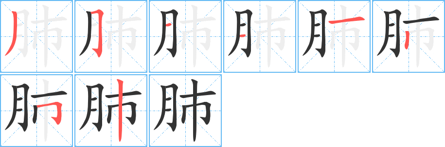 肺的筆順分步演示