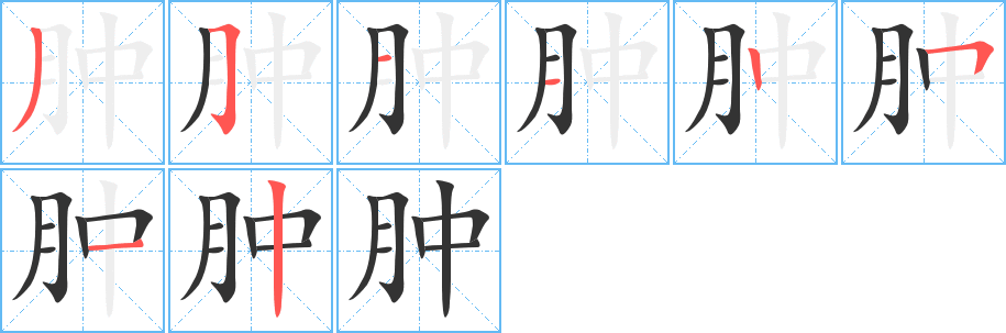 腫的筆順分步演示