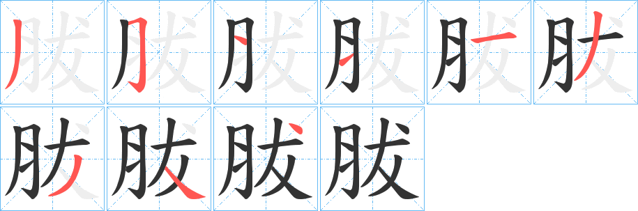 胈的筆順分步演示