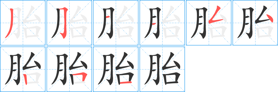 胎的筆順分步演示