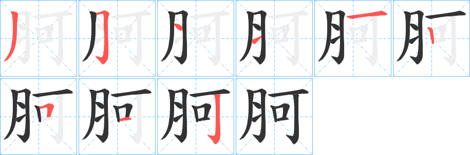 胢的筆順?lè)植窖菔?>
					
                    <hr />
                    <h2>胢的基本信息</h2>
                    <div   id=