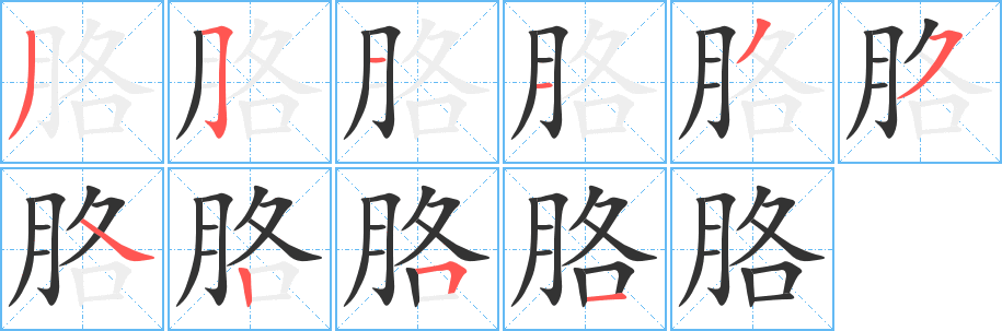 胳的筆順分步演示