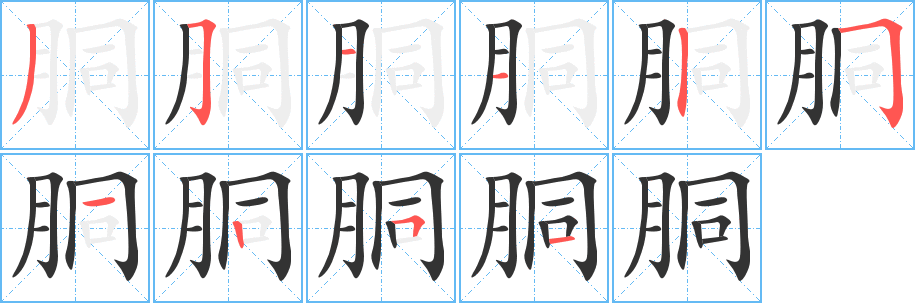 胴的筆順分步演示