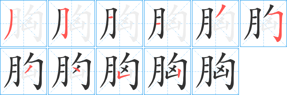 胸的筆順分步演示