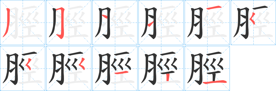 脛的筆順分步演示