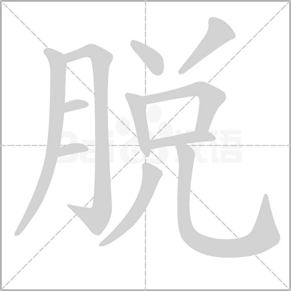 脫的筆順動(dòng)畫演示
