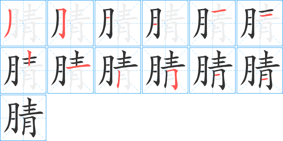 腈的筆順分步演示