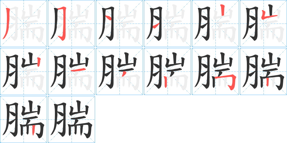腨的筆順?lè)植窖菔?>
					
                    <hr />
                    <h2>腨的基本信息</h2>
                    <div   id=