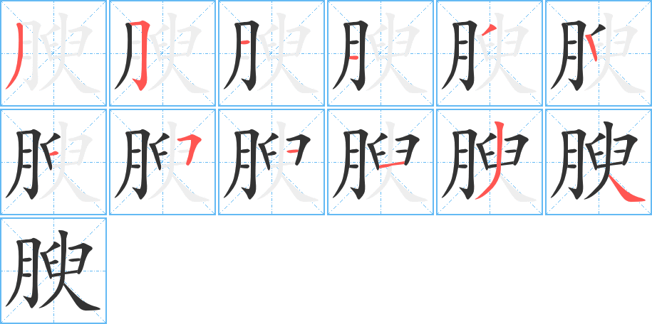 腴的筆順分步演示