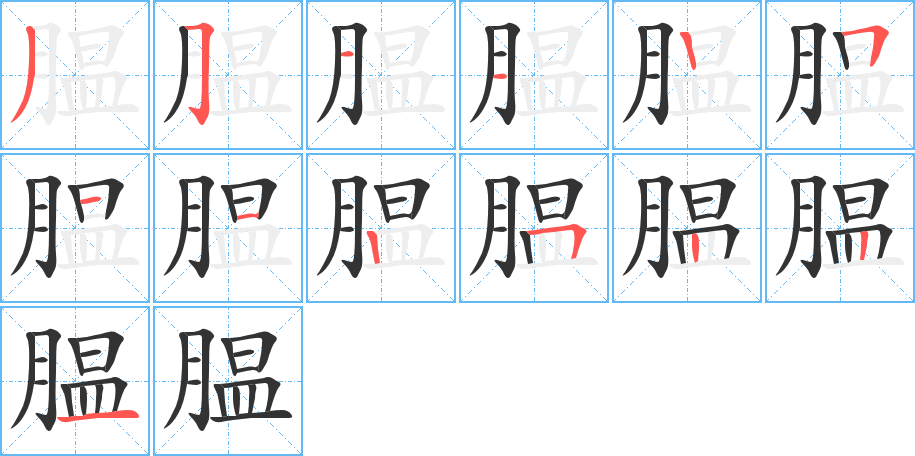 膃的筆順分步演示