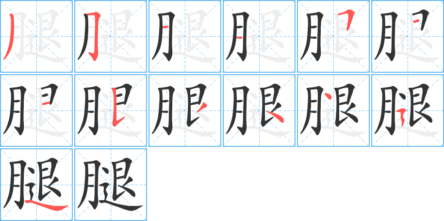 腿的筆順分步演示