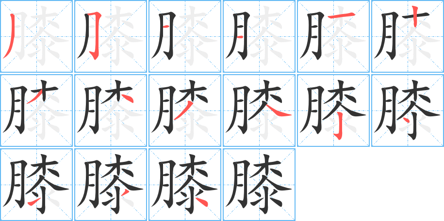 膝的筆順分步演示