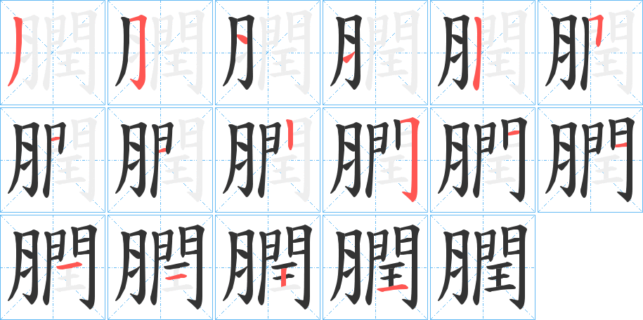 膶的筆順分步演示