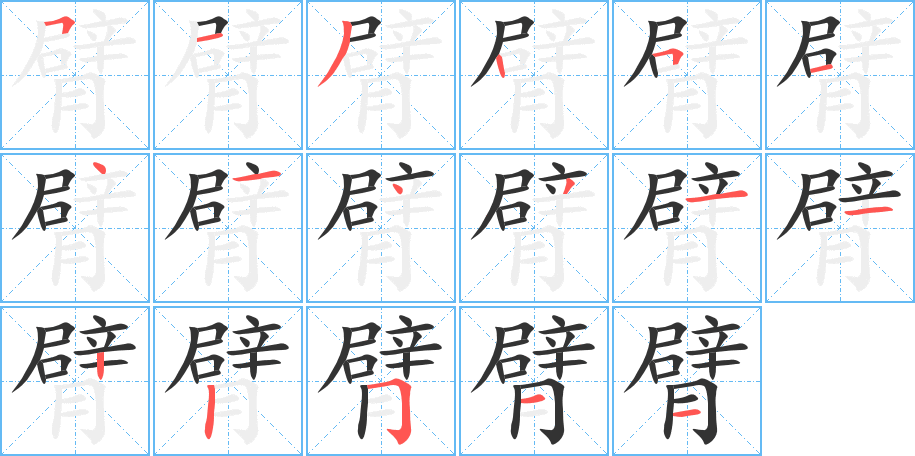 臂的筆順分步演示