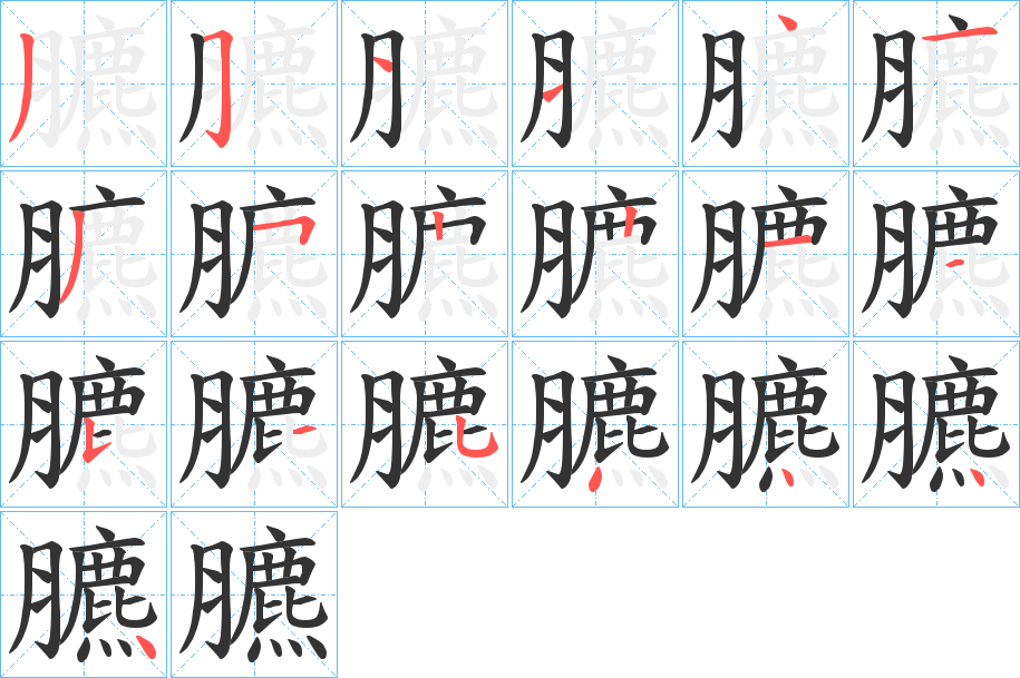 臕的筆順分步演示