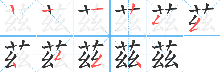 茲的筆順分步演示