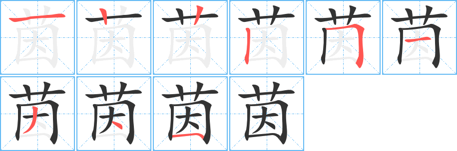 茵的筆順分步演示