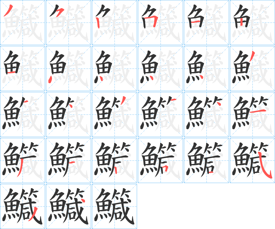 鱵的筆順分步演示