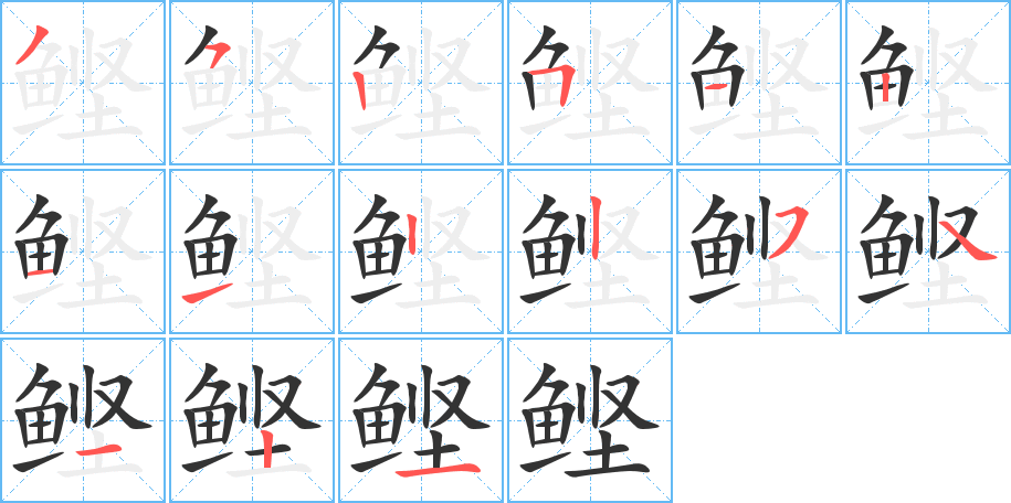 鰹的筆順分步演示